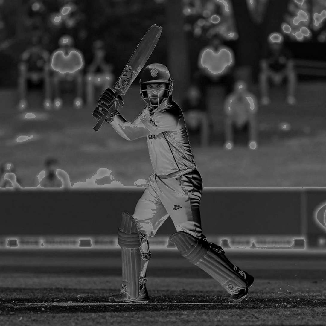 The Day at Karen Rolton Oval: How a 14-Ball Fifty Shook Not the Scoreboard but the Selectors' Sleep