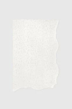 ERMANNO SCERVINO Lace Stole