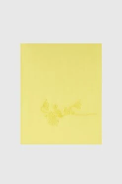 ERMANNO SCERVINO Silk Stole With Handmade Floral Embroidery